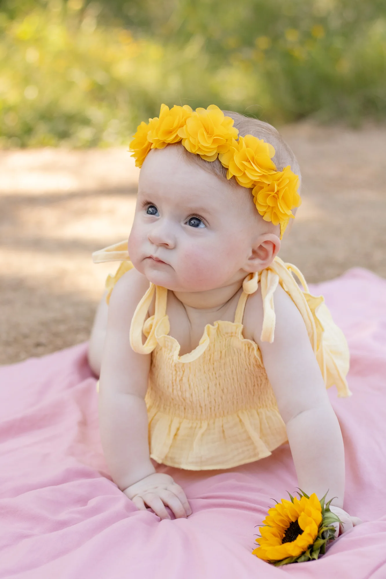 A six-month milestone portrait of Frankie